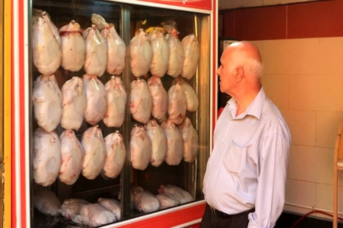 قیمت مرغ در مرکز تهران: ۳۳ تا ۳۶ هزار تومان! + فیلم