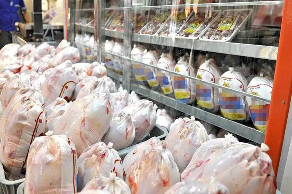طلایی: کاهش قیمت مرغ تا ۱۰ روز آینده