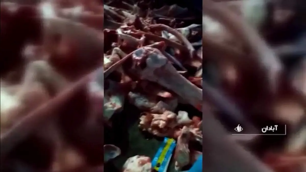 استخوان‌فروش آبادان تحت پیگرد قانونی قرار گرفت + فیلم