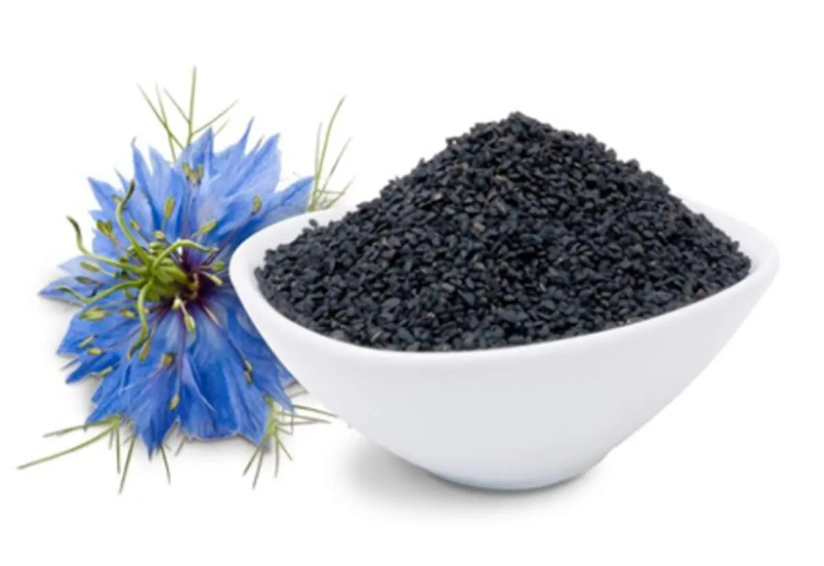 خواص سیاه دانه برای مقابله با بیماری کرونا+اینفوگرافی