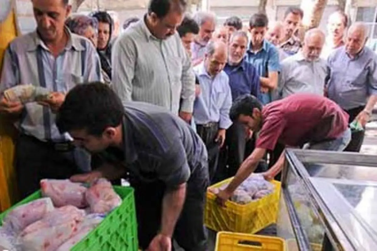 رضایی: توزیع مرغ گرم با قیمت ۱۸ هزار و ۵۰۰ تومان در تهران به زودی
