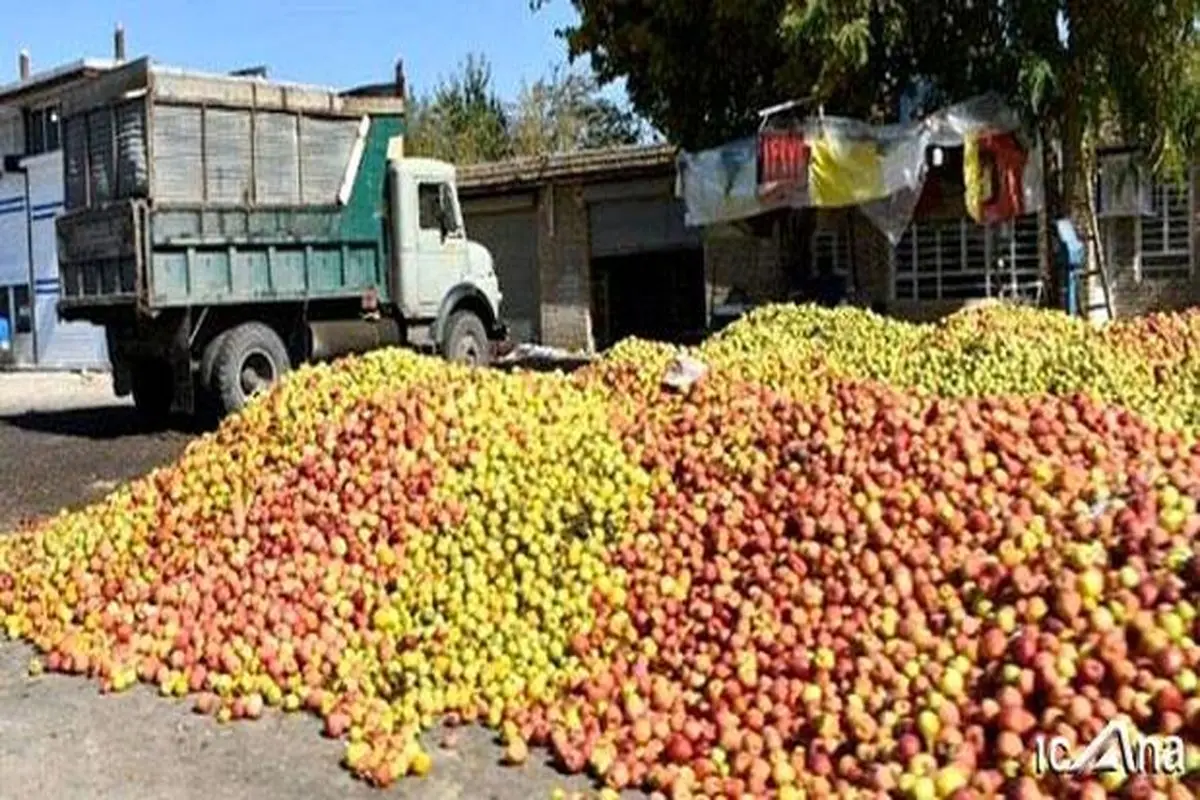 وزارت کشاورزی از قدرت لازم برای پیش‌بینی مسائل آتی برخوردار نیست