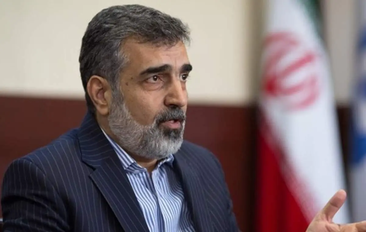 کمالوندی: سازمان انرژی اتمی امکان افزایش غنی‌سازی و طراحی راکتور را دارد