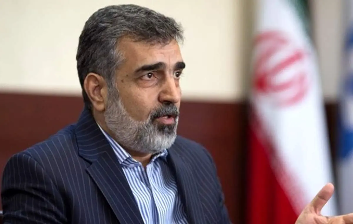 کمالوندی: سازمان انرژی اتمی امکان افزایش غنیسازی و طراحی راکتور را دارد