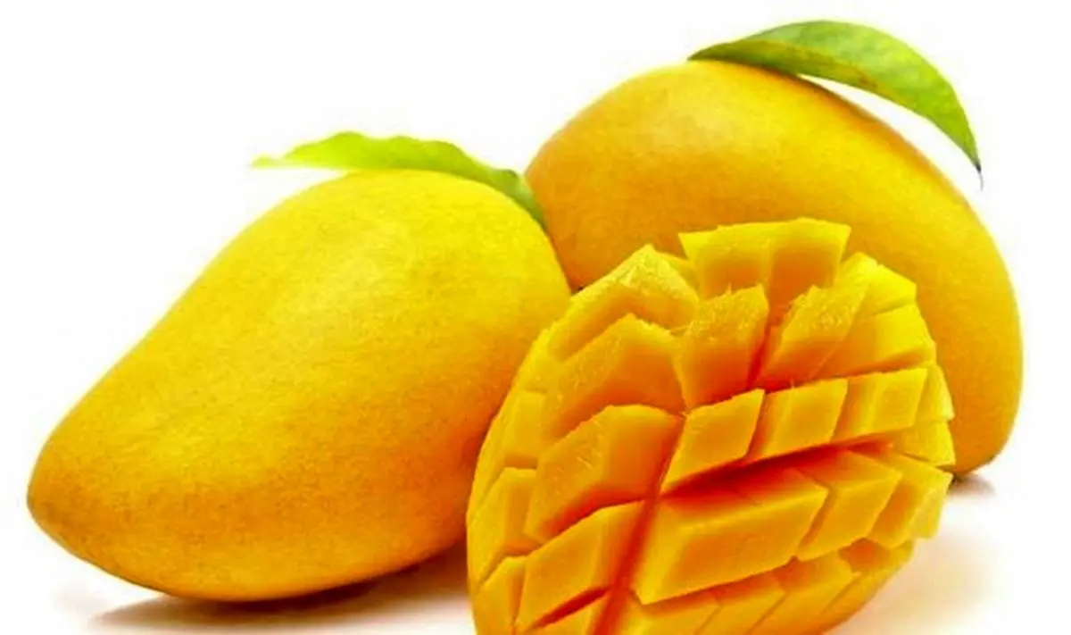 خواص فوق العاده میوه انبه برای سلامتی