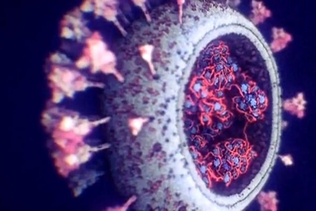 نوع جدیدی از ویروس جهش یافته کرونا در یونان یافت شد