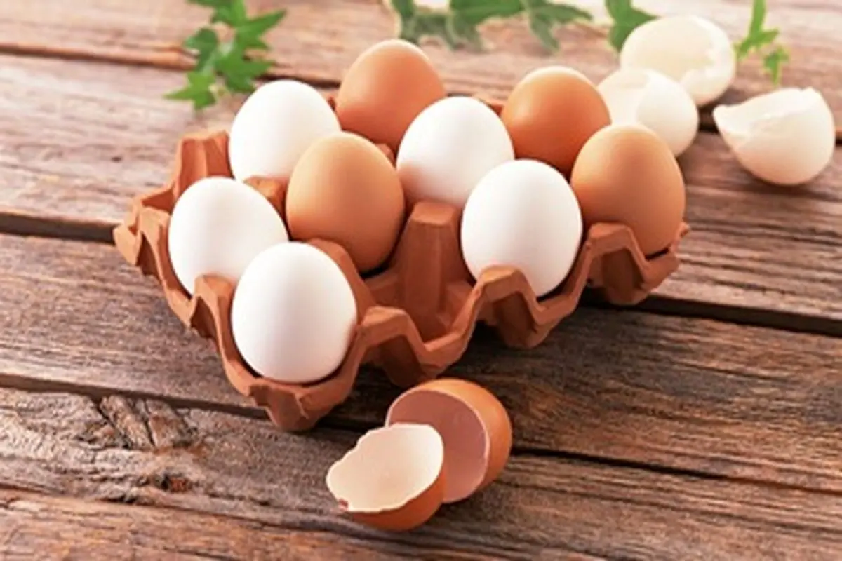 صادرات تخم‌مرغ از سر گرفته شود؛ نرخ هر کیلو تخم‌مرغ ۱۱ هزار و ۵۰۰ تومان