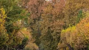 رنگ پاییزی پایتخت