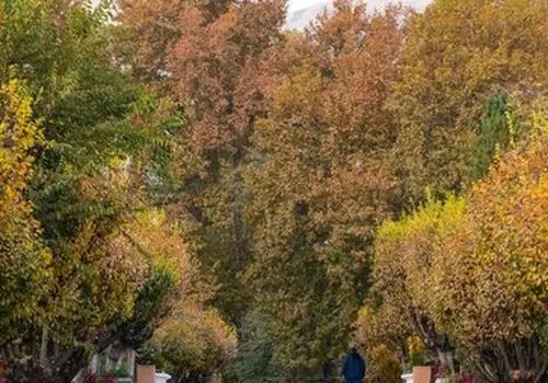 ۶ مقصد پاییزی اطراف تهران؛ آخرهفته‌تان را متفاوت شروع کنید