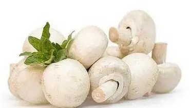 ترفندهای ساده برای نگهداری قارچ
