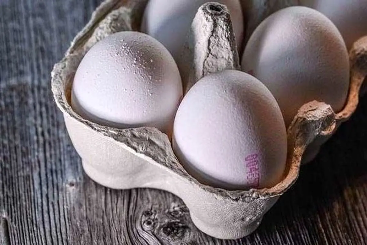 تخم مرغ شانه‌ای ۳۶ هزار تومان!+جرئیات