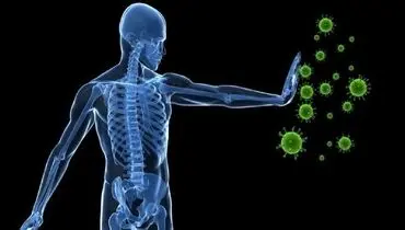 نقش ویتامین c در تقویت سیستم ایمنی بدن