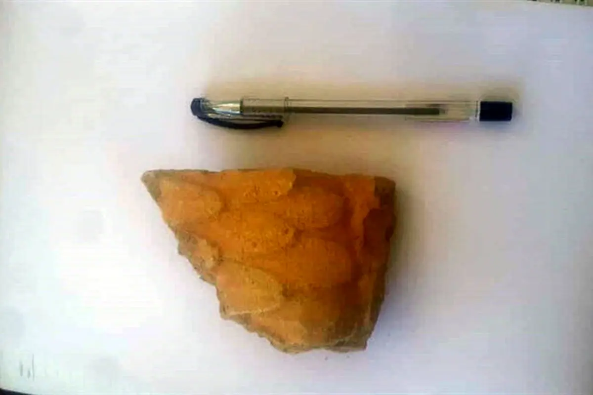 کشف یک قطعه خشت منقوش اوایل دوره هخامنشی در مرودشت + عکس