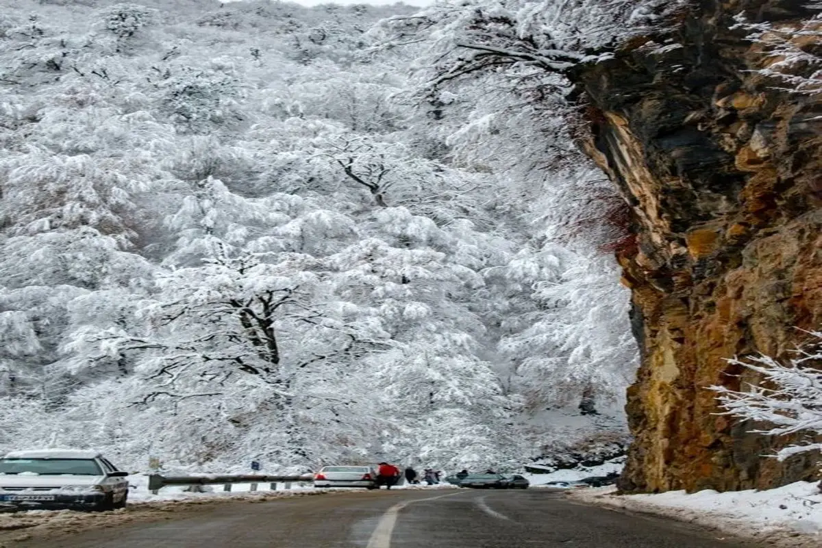 تصویری رویایی از بارش برف در جاده دالخانی در ارتفاعات رامسر