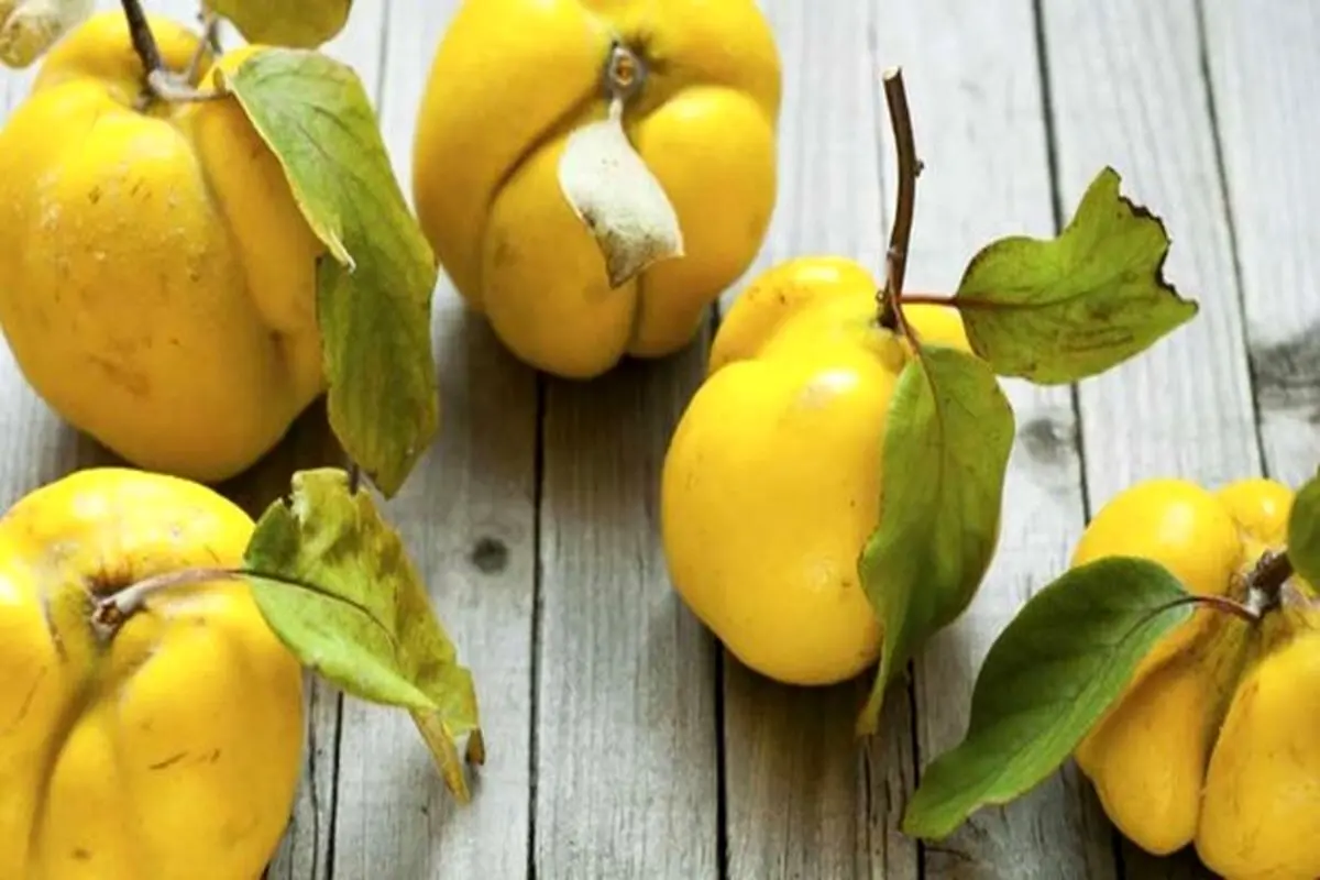 خواص شگفت انگیز میوه به برای سلامت بدن