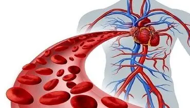 راهکار‌های درمانی برای گردش خون مناسب در بدن