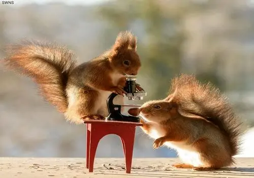 آشنایی با دیدنی های جونقان
