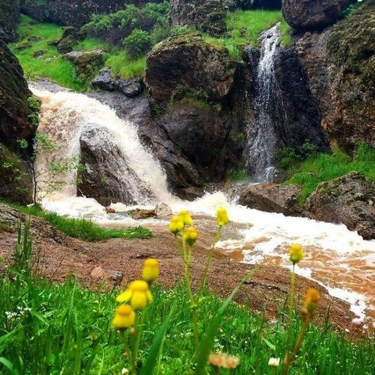 طبیعت بینظیر مخمل کوه