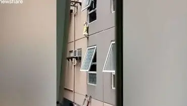 لحظه دلهره آور نجات سگ از ارتفاع ۱۵ متری+فیلم