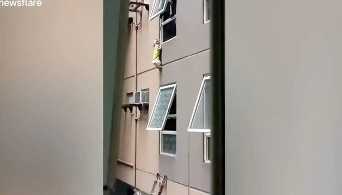 لحظه دلهره آور نجات سگ از ارتفاع ۱۵ متری+فیلم