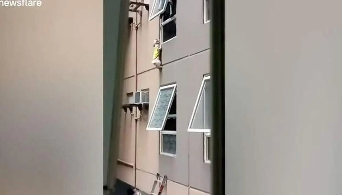 لحظه دلهره آور نجات سگ از ارتفاع ۱۵ متری+فیلم