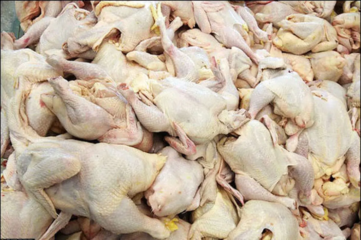 قیمت مرغ در بازار آزاد را اعلام نمی‌کنیم/ برای تعادل قیمت، توزیع بین صنف را ۲۵۰ تا ۳۰۰ تن افزایش دهید