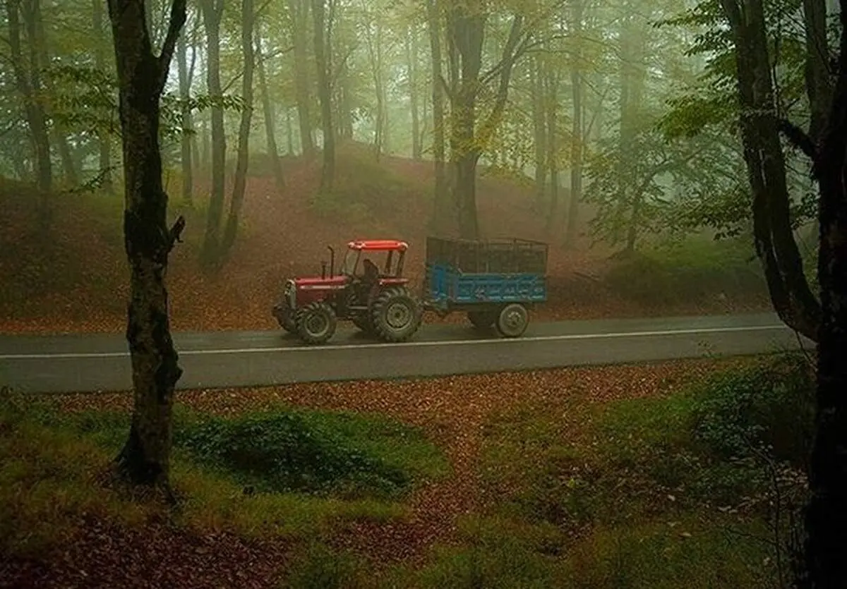 طبیعت پاییزی بهشهر مازندران