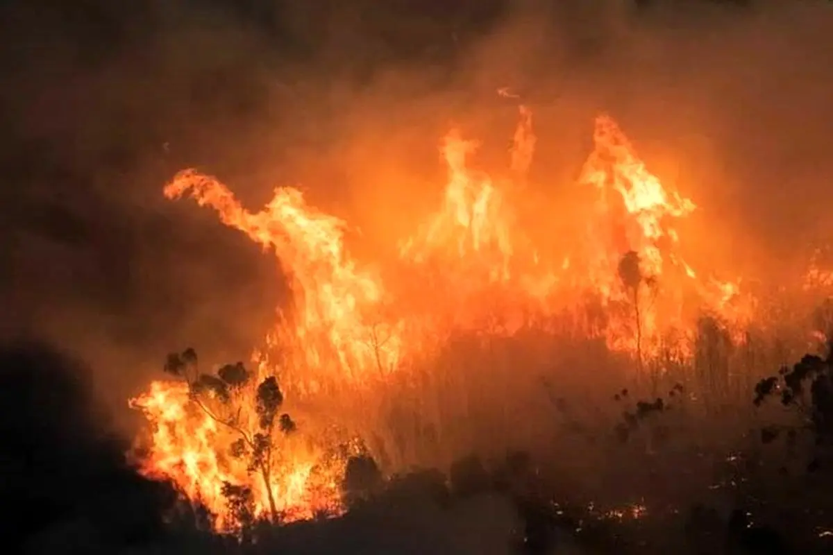 آتش سوزی گسترده در استرالیا