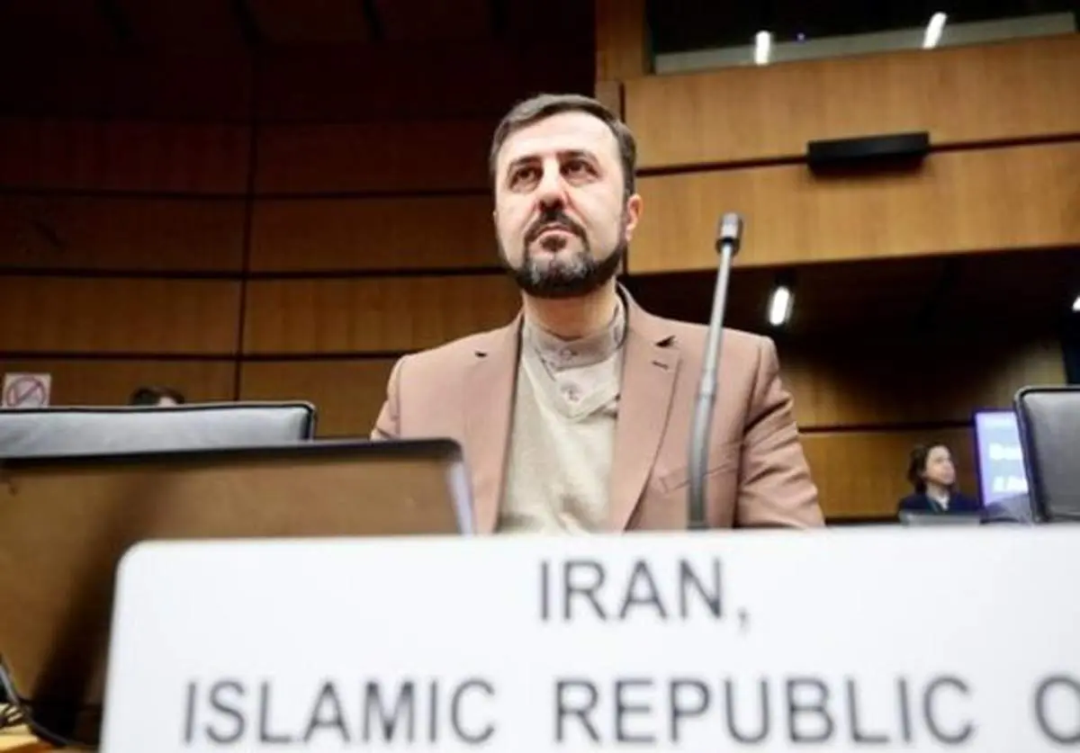 ایران خواستار محکومیت ترور شهید فخری‌زاده از سوی آژانس شد