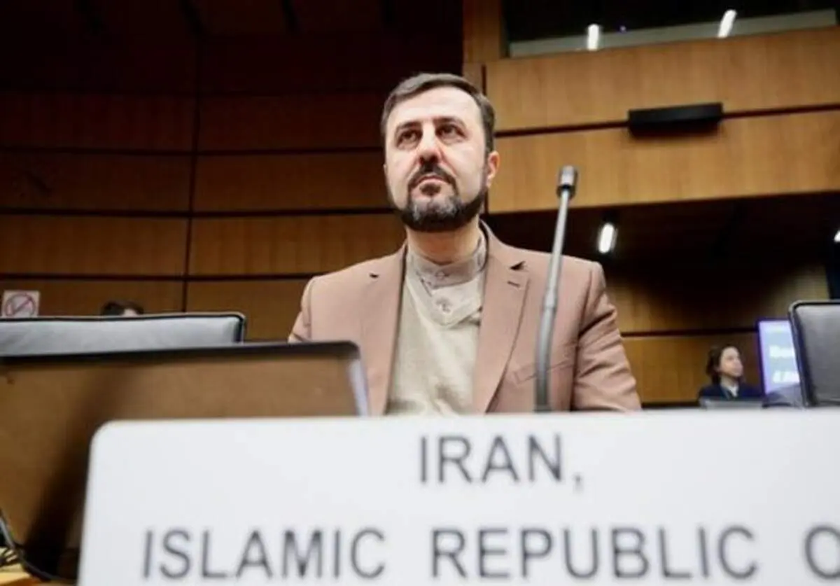 ایران خواستار محکومیت ترور شهید فخری‌زاده از سوی آژانس شد