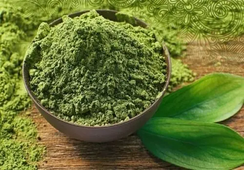 ترکیبی شگفت‌انگیز در حنا؛ امیدی تازه برای درمان آسیب‌های کبدی