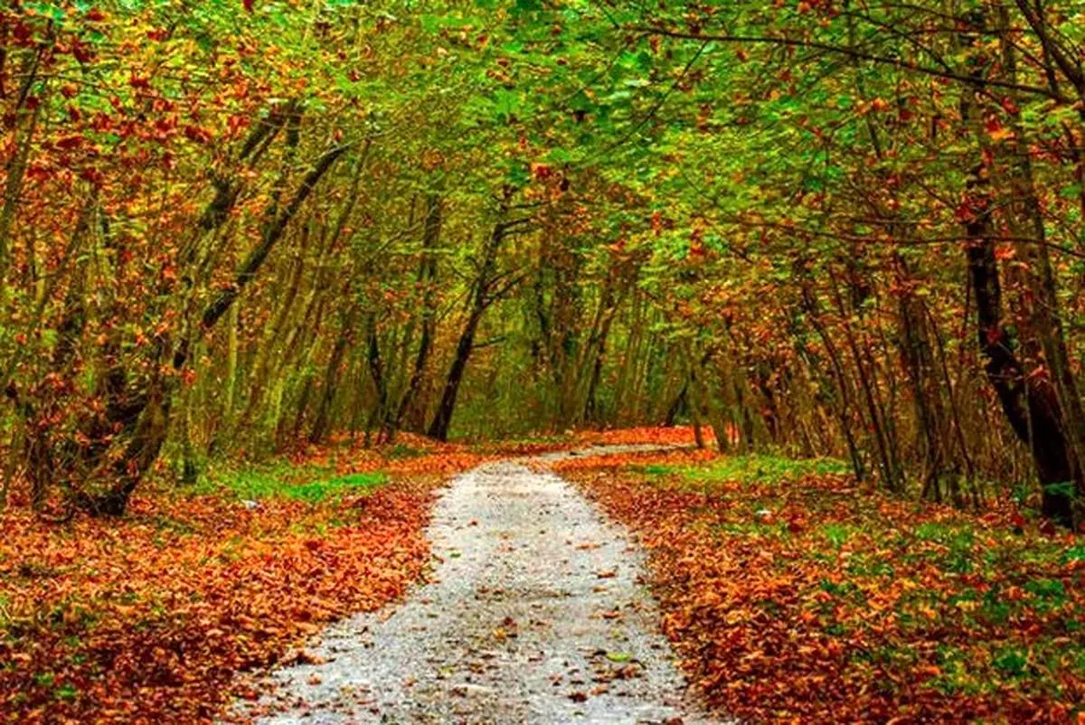 پاییز رنگارنگ ایران