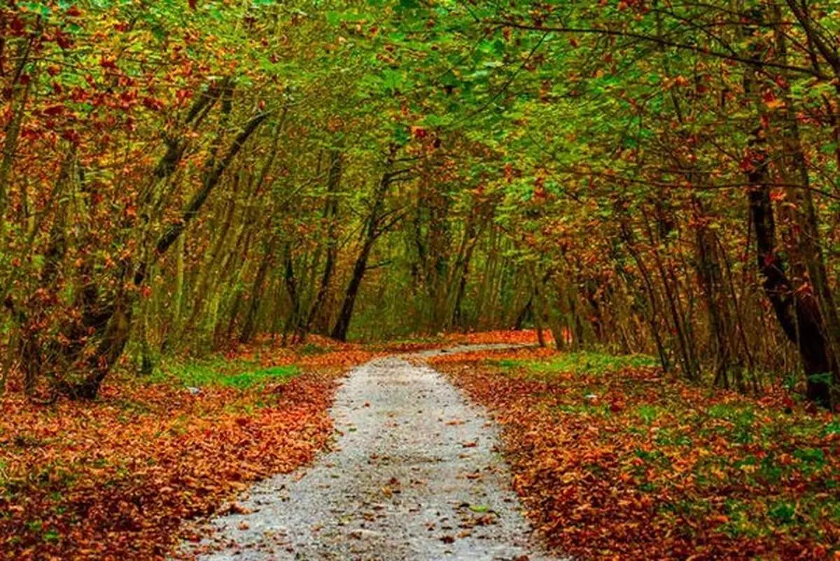 پاییز رنگارنگ ایران