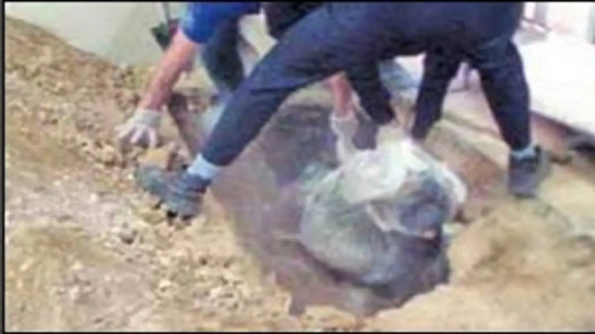 مدفون کردن برادر کف سالن پذیرایی