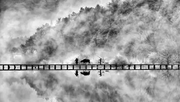 پلی به رویا + عکس