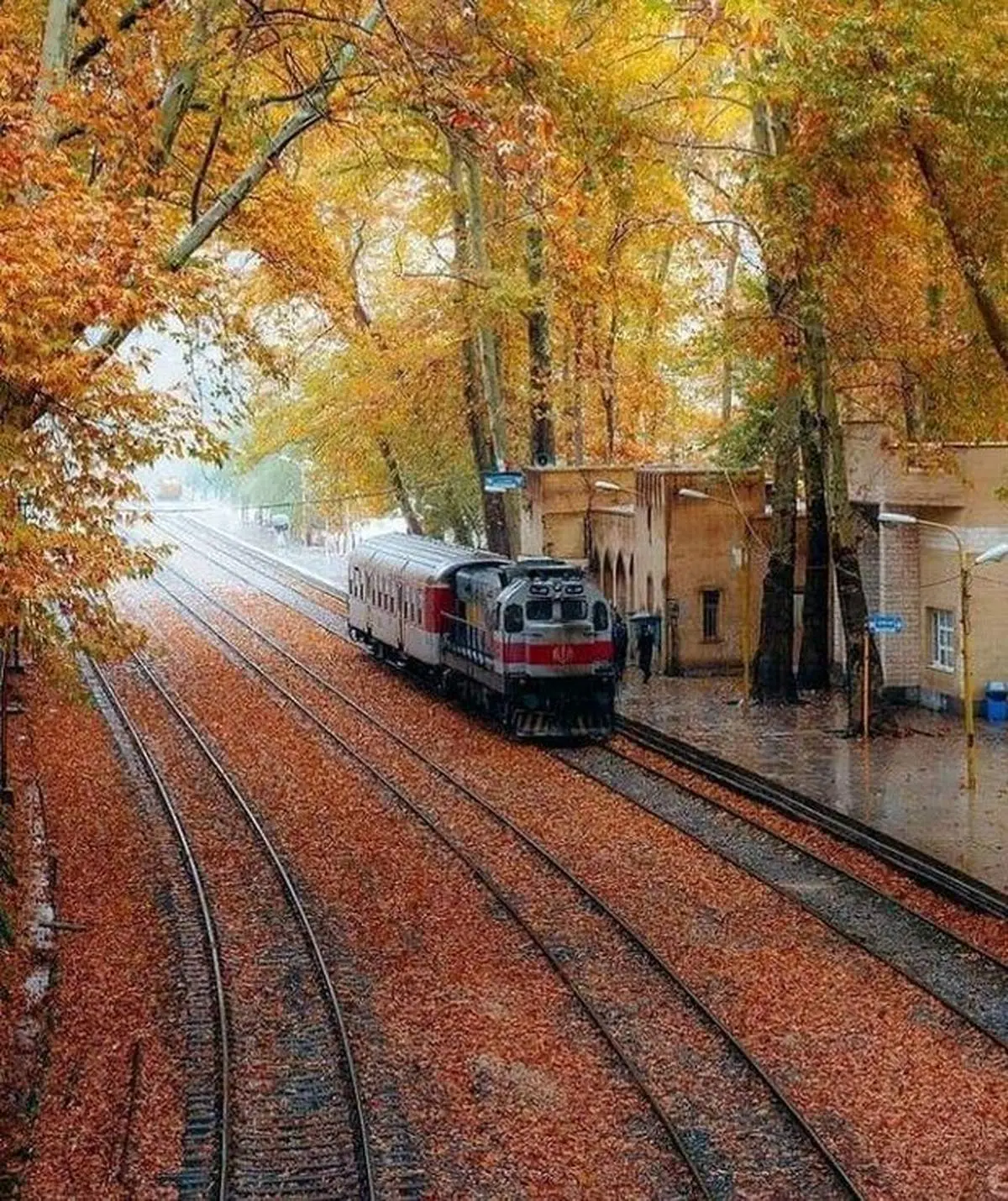 تصویری زیبا از ایستگاه راه آهن بیشه