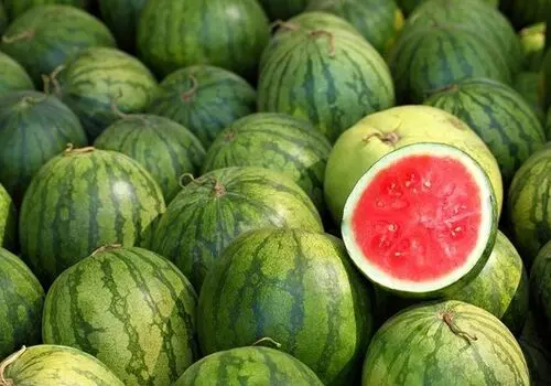 هندوانه شب یلدا کیلیویی ۱۵ تومان! +عکس
