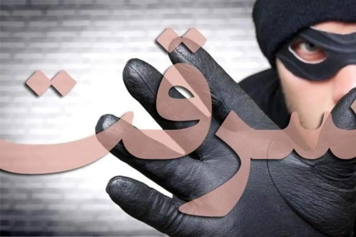 ترفند عجیب یک زن برای دزدی!