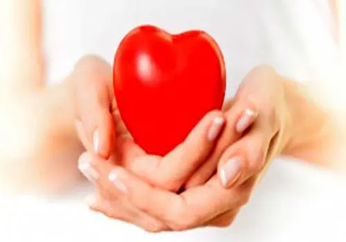 اشتباهات رایج در رژیم گیاه‌خواری
