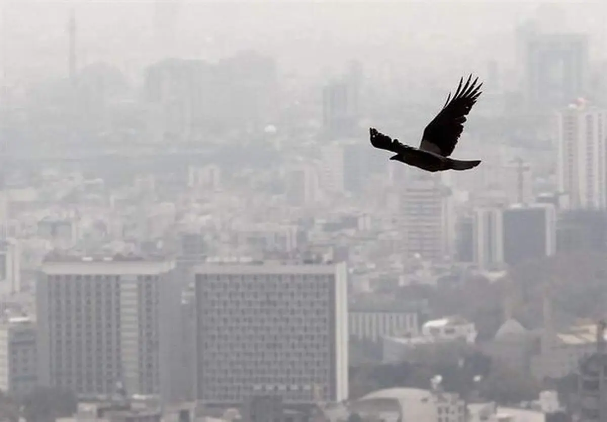 هشدار آلودگی ۵ روزه هوا در ۸ استان