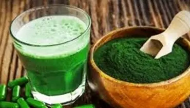 تولید طلای سبز برای اولین بار در غرب کشور