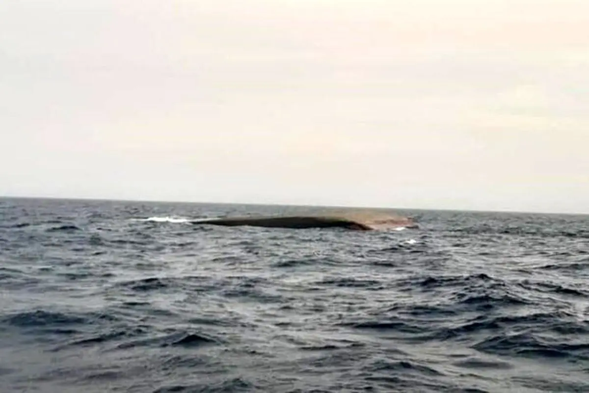 ۷ خدمه یک شناور در جزیره لارک مفقود شدند +اسامی مفقودان و فیلم