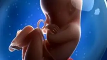 احتمال سقط جنین با مصرف سبزیجات آلوده