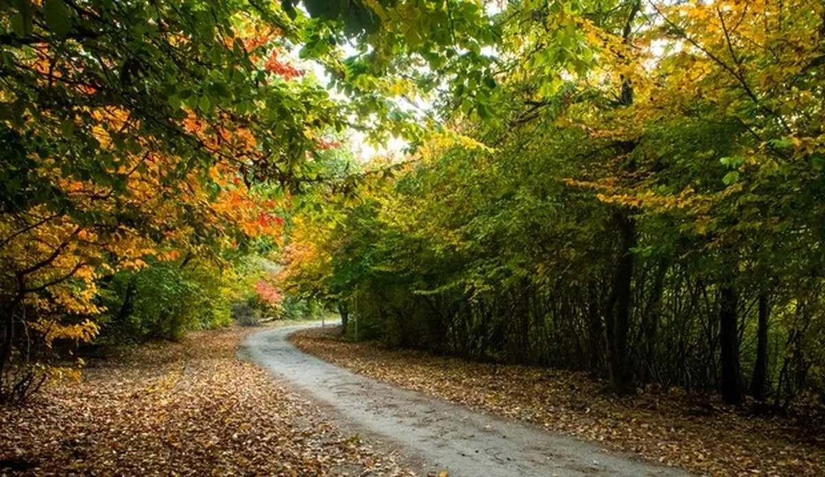 پارک جنگلی زیبای ساری