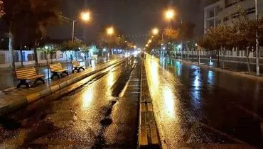 ممنوعیت ورود پلاک های بومی شهرهای قرمز ونارنجی به شهرهای زرد