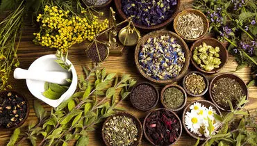 درمان بیماری‌های فصل زمستان با کمک گیاهان دارویی