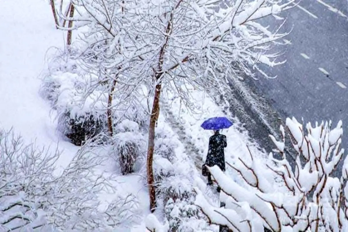 هواشناسی ایران ۹۹/۱۰/۳| آغاز بارش برف و باران در ۲۲ استان/ هوا ۱۰ درجه سرد می‌شود