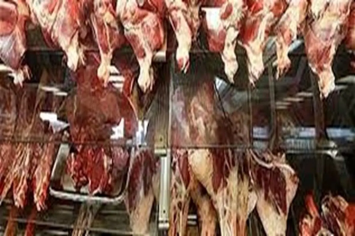 قیمت گوشت تازه گوسفند کاهش یافت