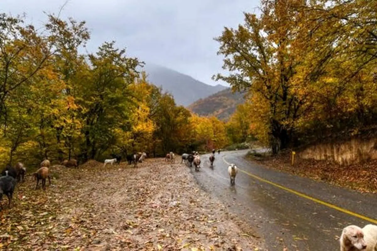 زمستان تماشایی رشته کوه‌های البرز