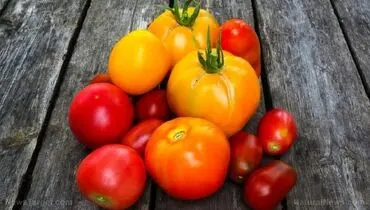 پیشگیری از سرطان با این خوراکی‌ها
